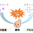 【プレスリリース】酒づくりの酵母自らアルコール発酵を調節する仕組みを発見 酵母の細胞壁の肥厚の状態を手掛かりに、風味損なわず、アルコール度数だけを改変する発酵デザイン技術を開発 細胞壁への炭素蓄積で低炭素社会への貢献にも期待
