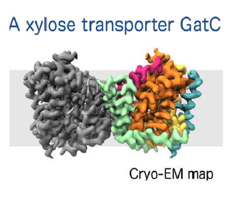構造生命科学研究室の髙橋祐太郎さん（博士後期課程2年）が、公益社団法人ヤンマー資源循環支援機構の2025年度研究助成対象者に選出