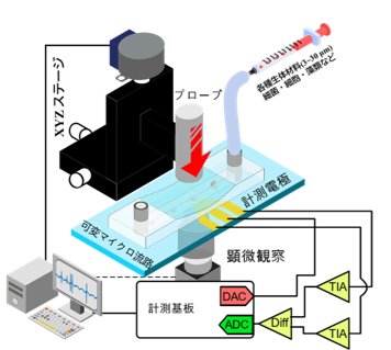 【プレスリリース】「詰まらない流路」で実現！ 生体試料を長時間・高感度で計測できる新システムを開発 ～がん診断や血液検査など、生命科学・医療の新しい計測法へ～