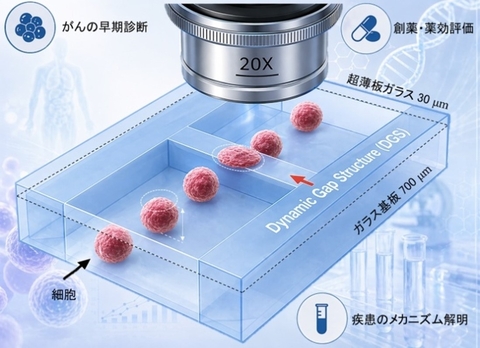 変形する「ガラス流路」で細胞の物性を測る！ ～高精度・高速・大量測定を実現する実用的物性評価法、医療応用へ～