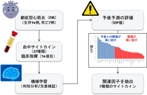 血中サイトカイン情報から 小児心筋炎の病態を予測する機械学習モデルを開発 ― サイトカイン情報と機械学習によって予後予測に重要な因子を抽出 ―
