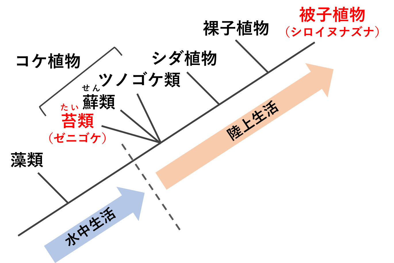 図1