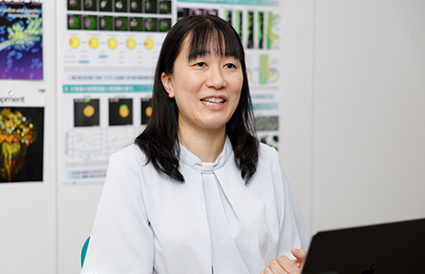 画像:ライブ・イメージングで被子植物の生存戦略を解明