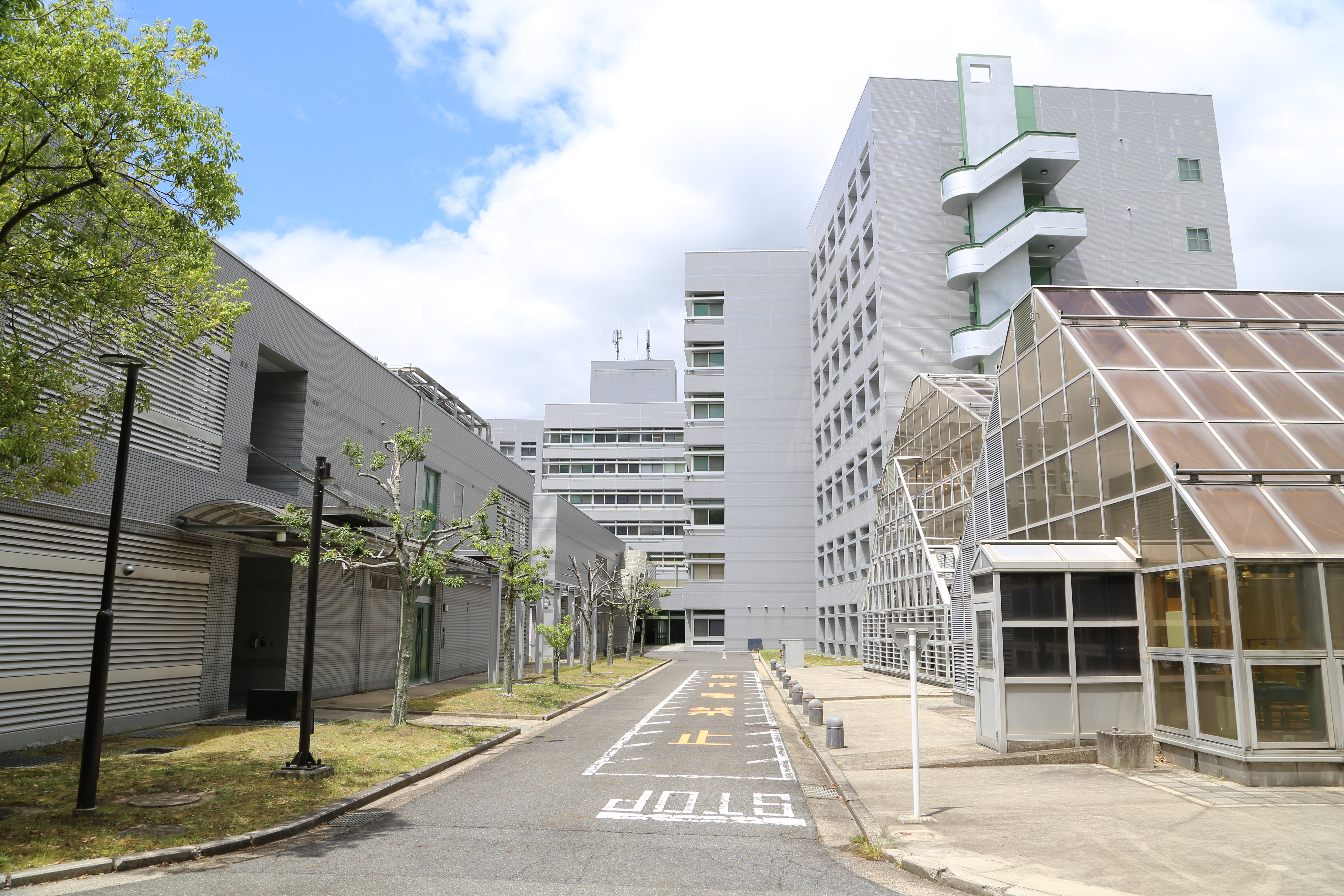 生命科学研究基盤センター