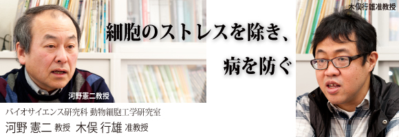 河野憲二教授、木俣行雄准教授