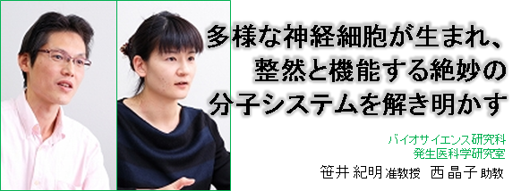 笹井紀明准教授、西晶子助教