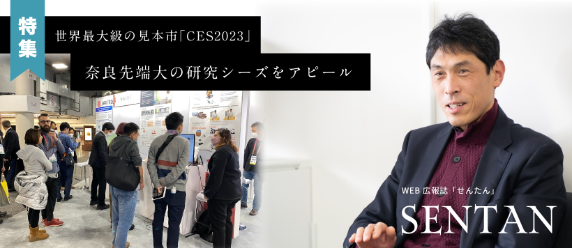 せんたんWEB
